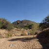 A nice desert hike down the Badger Springs Wash Trail.