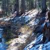Several sections of the trail run right along Bridalveil Creek, making it a great place to experience the spring snowmelt. In the late fall, the trail can be snowy and icy.