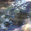There are several small tributaries that feed into Bridalveil Creek, which require rock hops or log crossings in order to cross.  This can be trickier in the spring, when snow melt feeds the creek.