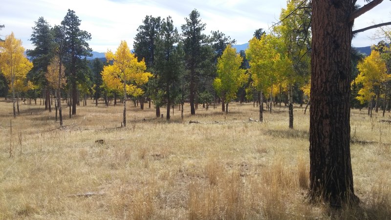 Early October on Staunton Ranch Trail.