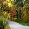 Morton Arboretum road in the fall.