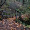 This small bridge passes over a small creek in the fall and offers views of a small waterfall on the uphill side.