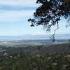 Even though most of the views are obstructed, you can see Stanford and the surrounding South Bay area from parts of the trail.