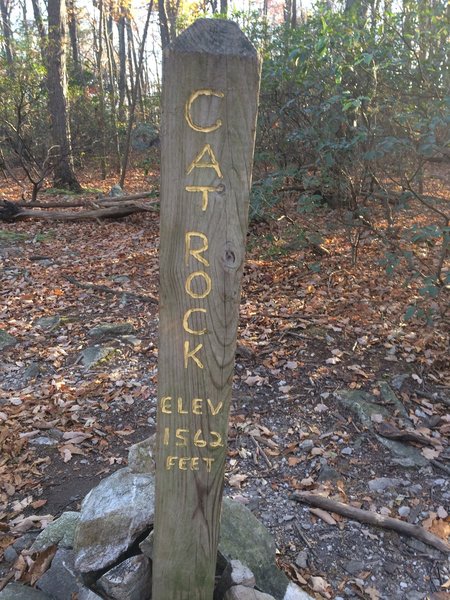 Signpost marking Cat Rock.