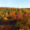Fall colors at Starved Rock State Park.