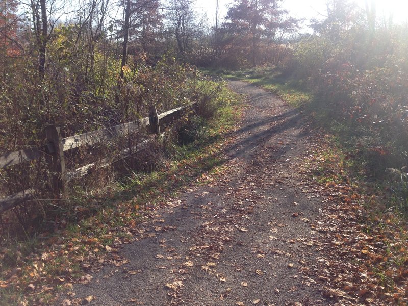 Limestone section of North Country Trail just past the bike rental parking lot.
