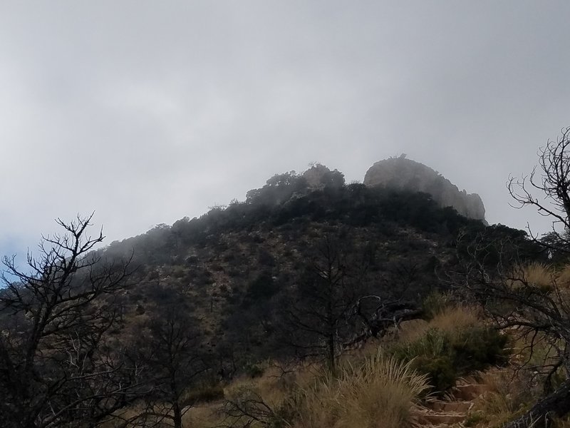 Clouds cleared somewhat for a view of Emory Peak.