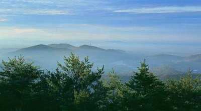 Running Trails Near Pine Mountain
