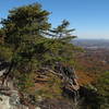 Views are lovely, even from the lower reaches of Crowder Mountain!