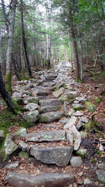 these-stairs-seem-to-go-on-forever