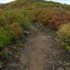 Fall colors near high point of Prater Ridge Trail.