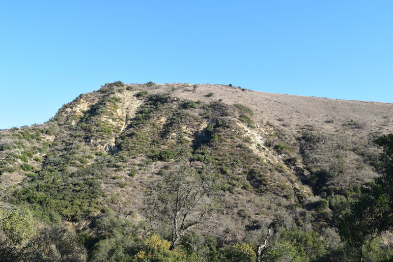 A hill looking up from the trail.
