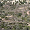 A picture of Cactus Hill Trail from a higher elevation.