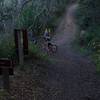 The trail comes to a junction with the Alpine Road Trail, where mountain bikers enjoy the descent from Page Mill Road to Portola Valley.