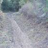 Mountain bikers like this trail, and there are portions where their tracks have made it muddy.