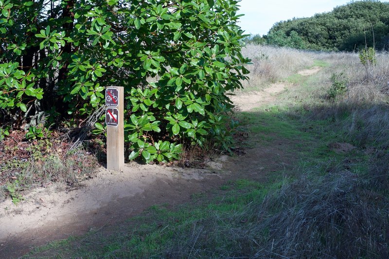 This alternate trail leads to sweeping views of the area.