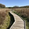 The boardwalk section of the Appalachian Trail.