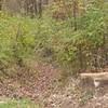As you can see, the trail is a bit of a ditch in many locations.