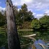 The view from the mid reach of the lagoon