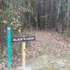 The entrance to Alice's Loop.