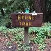 Little trinkets on top of the trail signs!