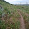 The trail runs between the powerlines and the Hogback Ridge.