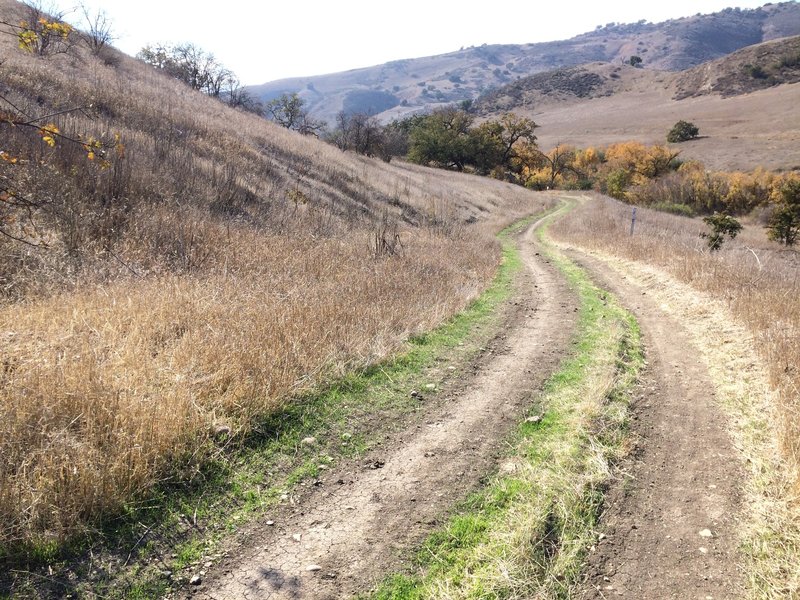 Crummer Ranch Road is nice and smooth as it heads downhill toward East