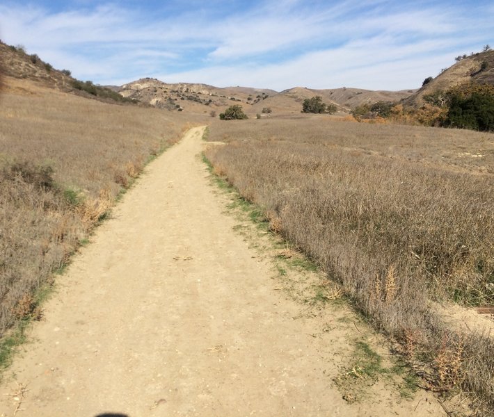 The East Las Virgenes Canyon Trail offers a beautiful view to the east ...