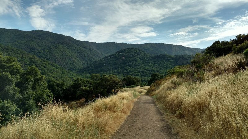 The Santa Cruz Mountains offer a spectacular backdrop to any adventure in Almaden Quicksilver County Park.