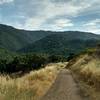The Santa Cruz Mountains offer a spectacular backdrop to any adventure in Almaden Quicksilver County Park.
