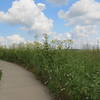 True to its namesake, tall grasses abound along the Tallgrass Trail.