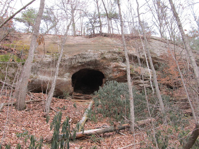 3 miles from Natural Bridge on the Sand Gap Trail, this interesting cave lies in hiding.