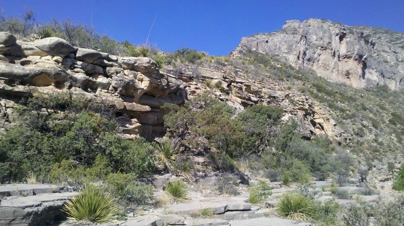 Dry creek bed in the early portions of the McKittrick Canyon Trail.