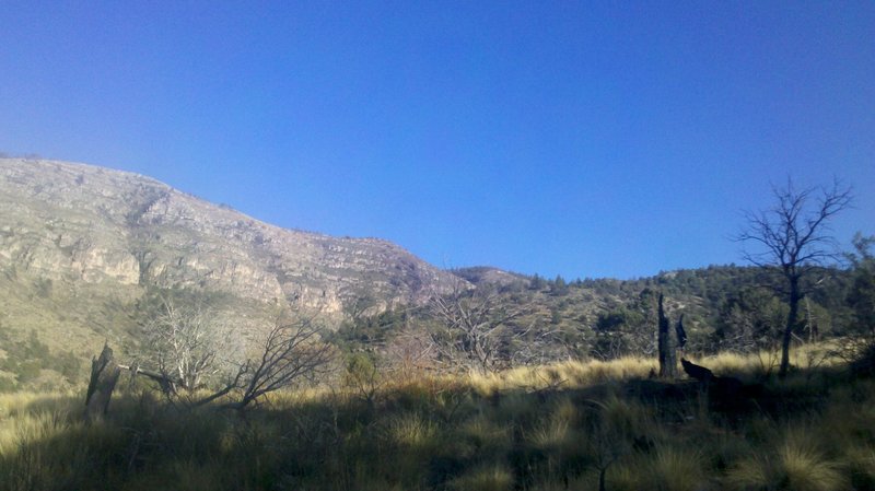 Dog Canyon, from the north end of the Tejas Trail.