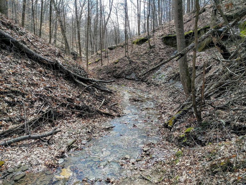 Part of the trail follows a rock-bottomed creek.