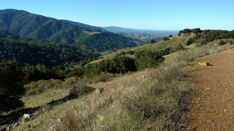 View looking northwest up the peninsula from Castillero Trail.