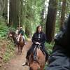 Riding in Redwood National Park on the Orick Horse Trail with the Redwood Creek Buckarettes.