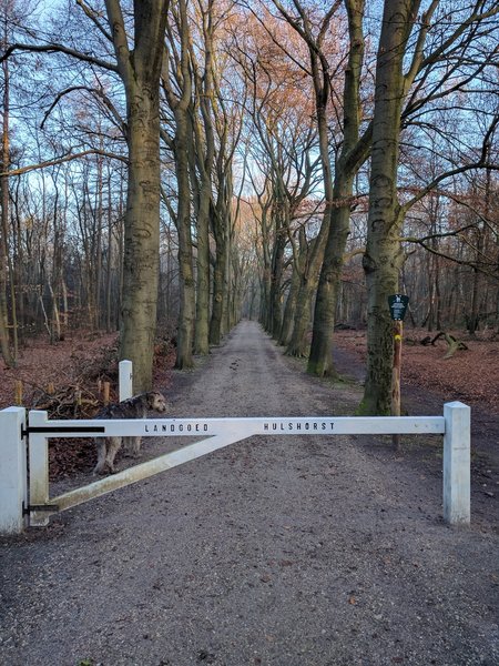The gate to the Hulshorst Estate is easy to spot.