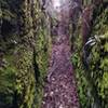 One of the narrow passes in between the rocks is densely covered in moss.
