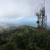 The view from atop El Yunque Peak can often be clouded. However, even in the clouds, the view is absolutely worth it.