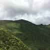 Great views of El Yunque Peak treat visitors at the end of Los Picachos Trail.