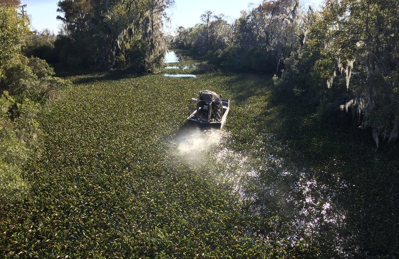 A National Park Service (NPS) airboat flies south on the Pipeline Canal.