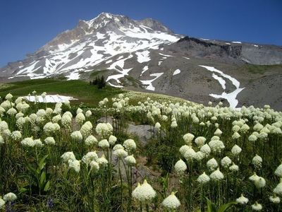 hikes in mount hood