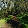 The Randol Trail meanders through wooded and open grass areas.