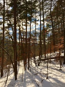 Piney Mountain Trail Hiking Trail Durham North Carolina
