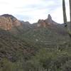 A centuries-old saguaro graces this view into the heart of the Superstitions.