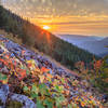 Mirror Lake Trail is colorful in fall and offers great views. Photo by Justin Watts.