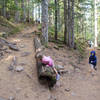 The Mirror Lake Trail is good fun for children. Photo by Dolan Halbrook.