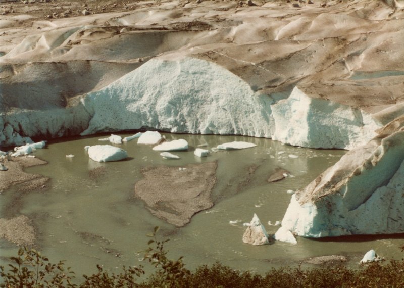 Mendenhall Glacier is stunning from above, as seen from the East Glacier Trail in 1980. Mendenhall Glacier has receded about a mile since then.