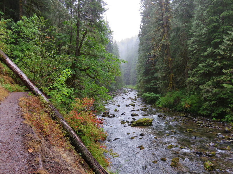 Featured image of post Steps to Prepare Salmon River Trail Oregon Weather